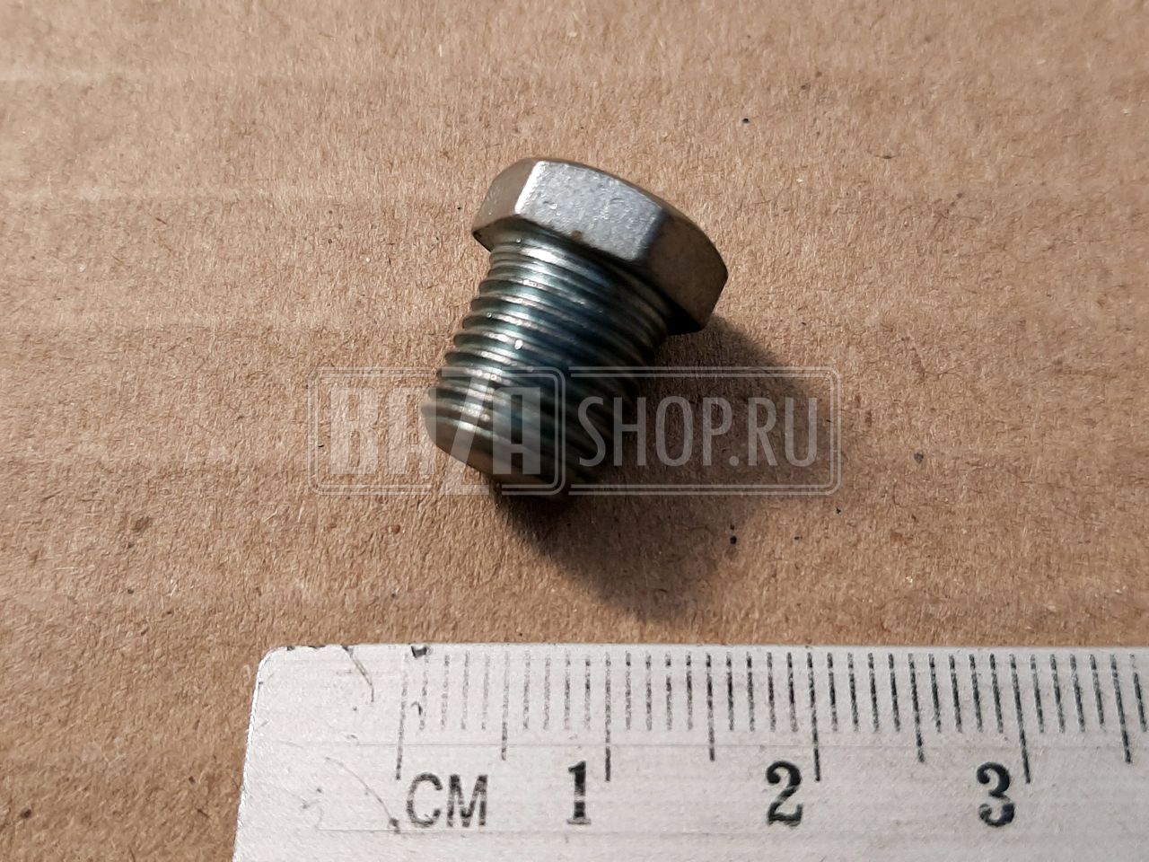 Пробка  крышки гидронатяжителя М10*1 дв.ЗМЗ 406, 409 КГ 1/8" (Красная Этна) / 262541-П29
